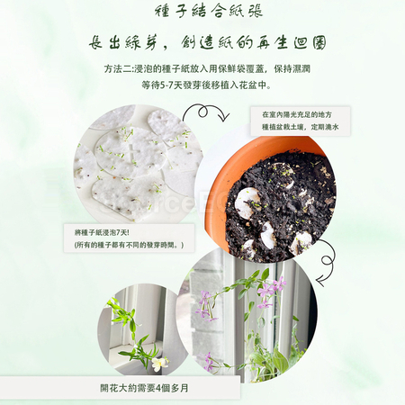 客製化種子紙筆記本禮品