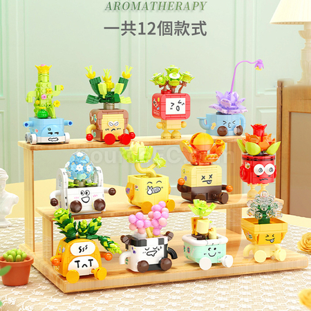 客製化表情包多肉植物積木盲盒禮品