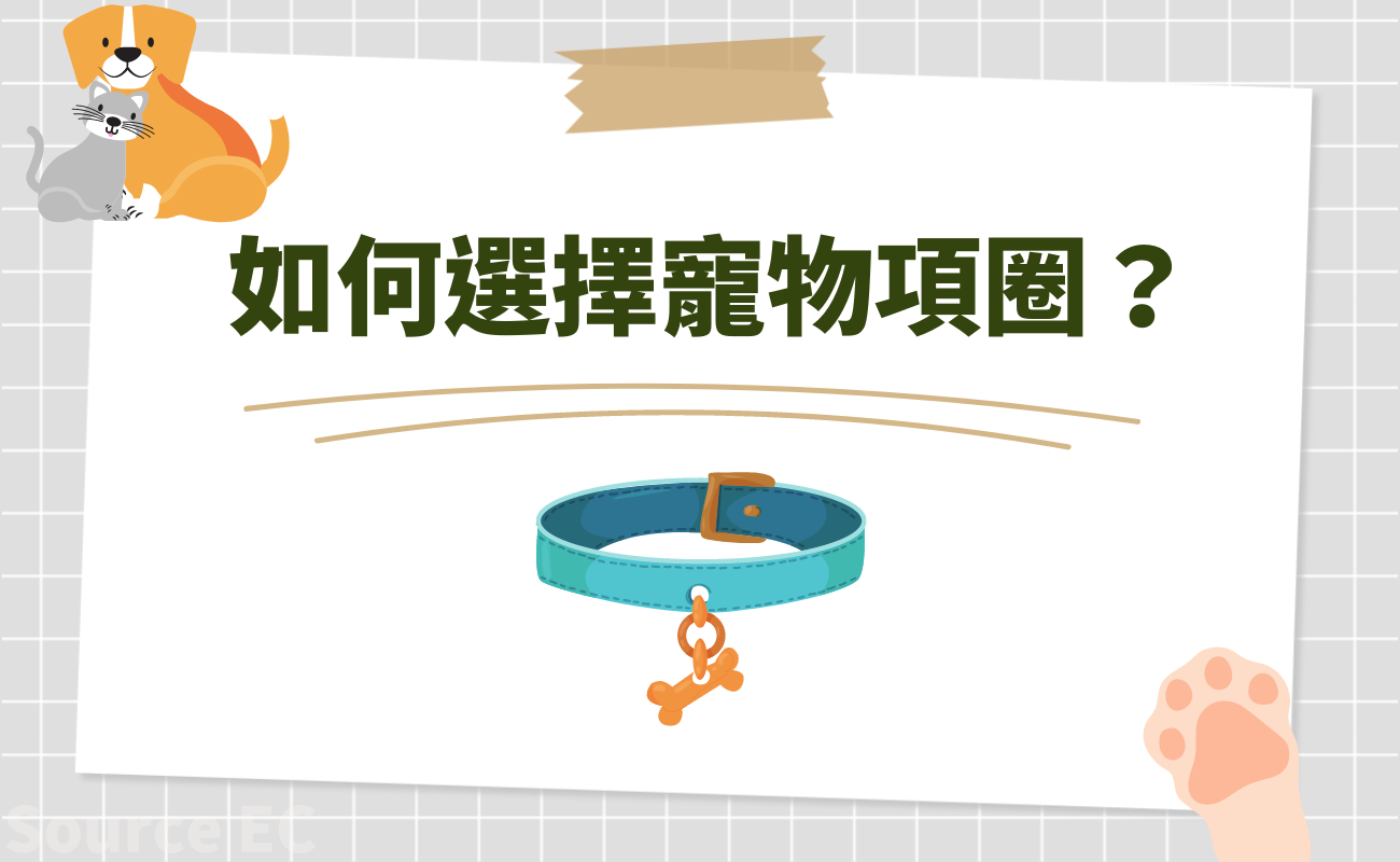 寵物用品問題
