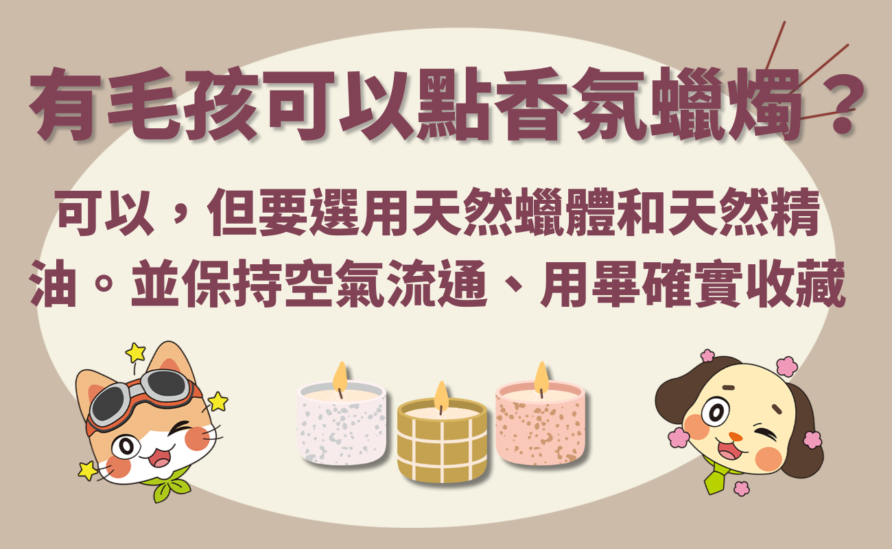 蠟燭推薦