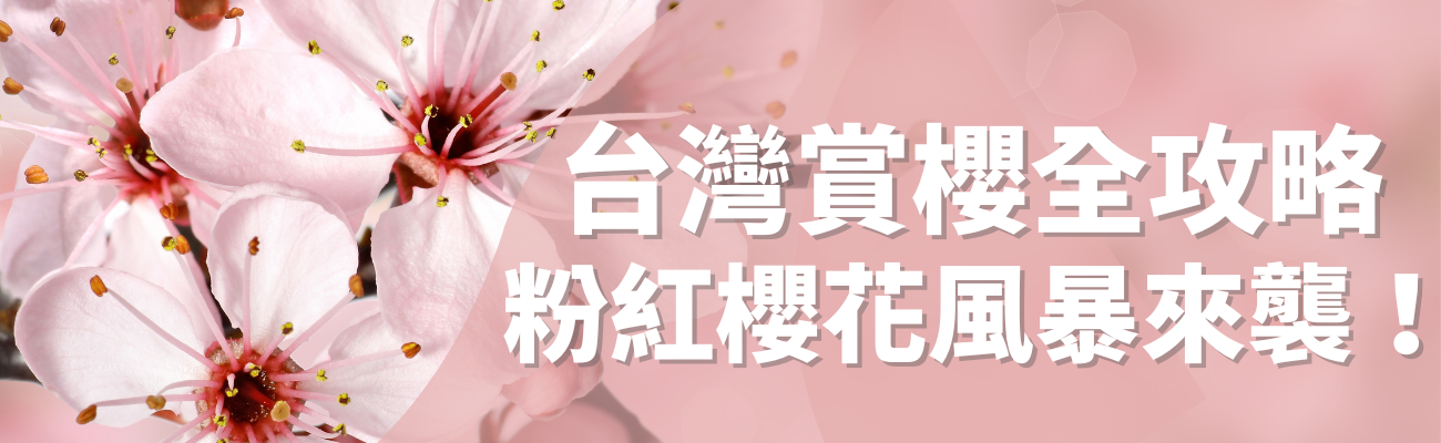 台灣賞櫻攻略