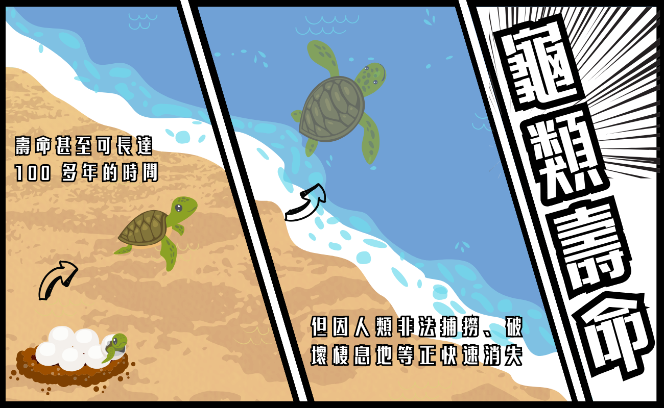 海龜壽命